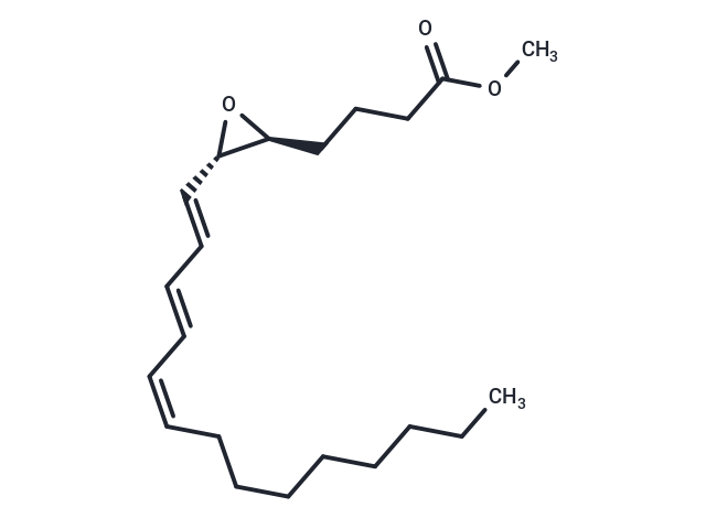 Leukotriene A3 methyl ester|T37615|TargetMol