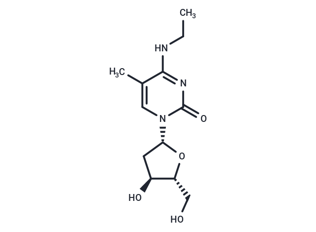 化合物 2’-Deoxy-N4-ethyl-5-methylcytidine|TNU1614|TargetMol