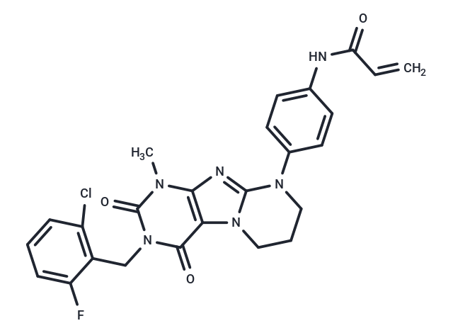 化合物 KRAS G12C inhibitor 31|T63502|TargetMol