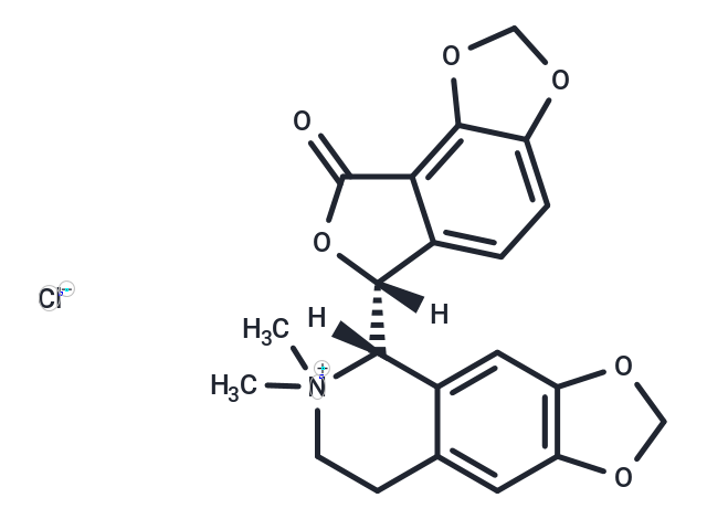 化合物 Bicuculline methochloride|T74112|TargetMol