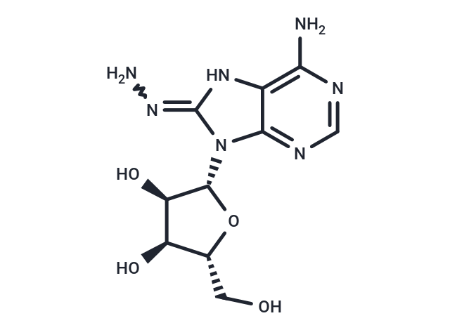 化合物 8-Hydrazinoadenosine|TNU0287|TargetMol