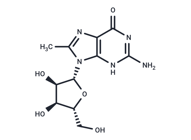 化合物 8-Methylguanosine|TNU1522|TargetMol