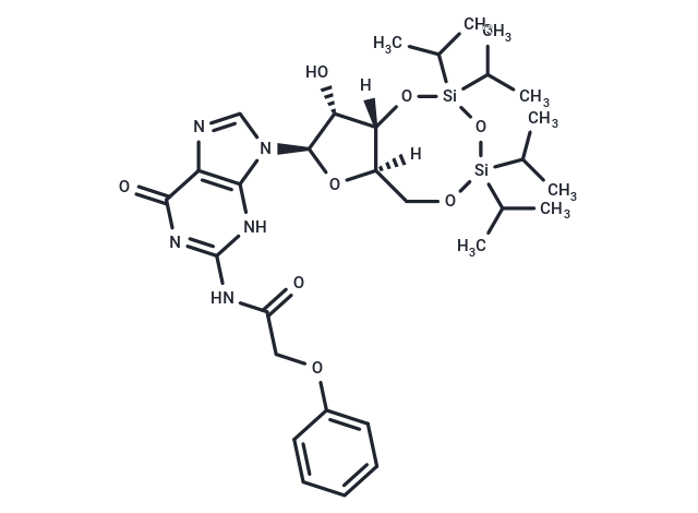 化合物 3’,5’-TIPS-N-PAc-Guanosine|TNU1202|TargetMol