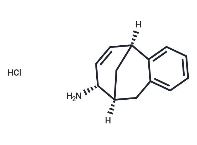 化合物 Org-6906|T28266|TargetMol