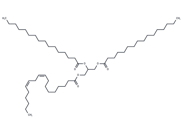 化合物 1,2-Dipalmitoyl-3-Linoleoyl-rac-glycerol|T85099|TargetMol