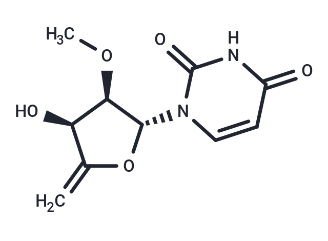 化合物 4’,5’-Didehydro-5’-deoxy-2’-O-methyluridine|TNU1131|TargetMol