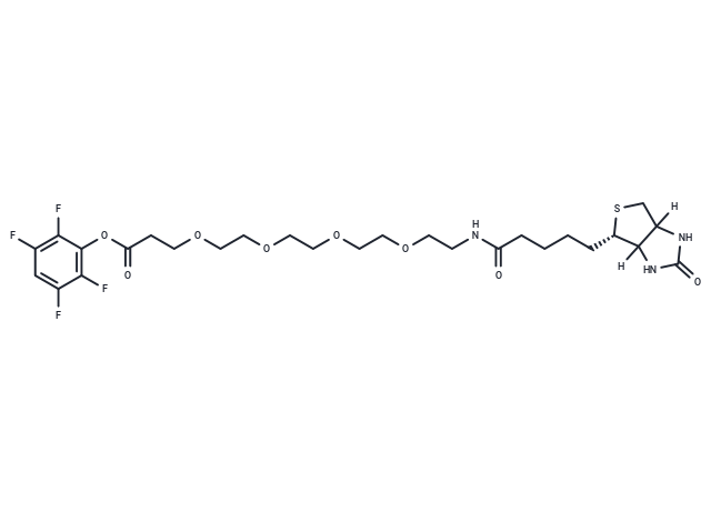 化合物 Biotin-PEG4-TFP ester|T17588|TargetMol