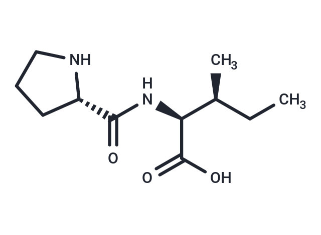 化合物 Prolylisoleucine|T34140|TargetMol