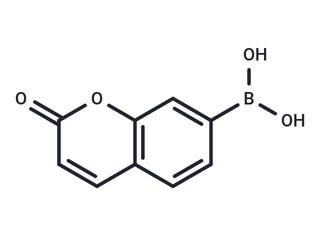 Coumarin Boronic Acid|T38324|TargetMol