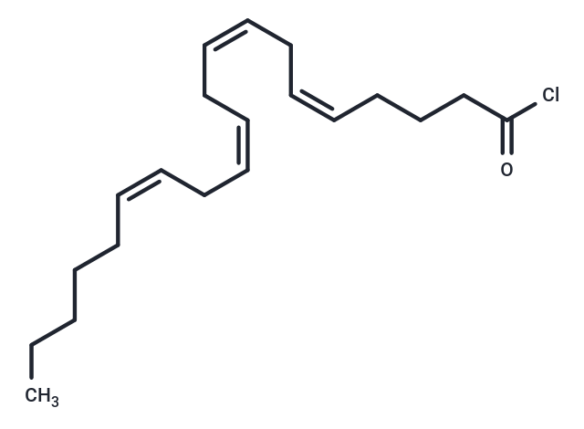 化合物 Arachidonoyl Chloride|T85246|TargetMol