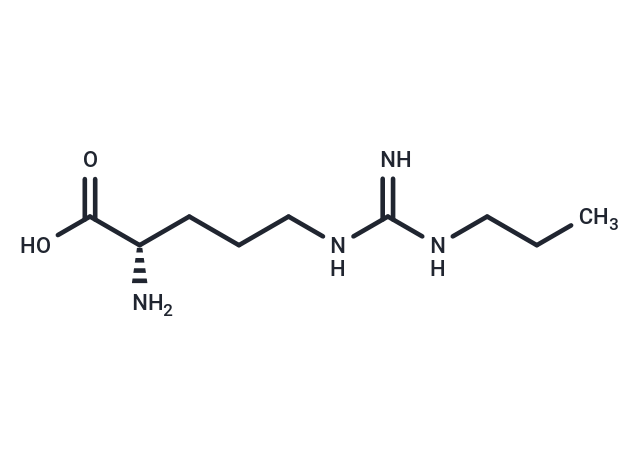 Nω-Propyl-L-arginine|T38786|TargetMol