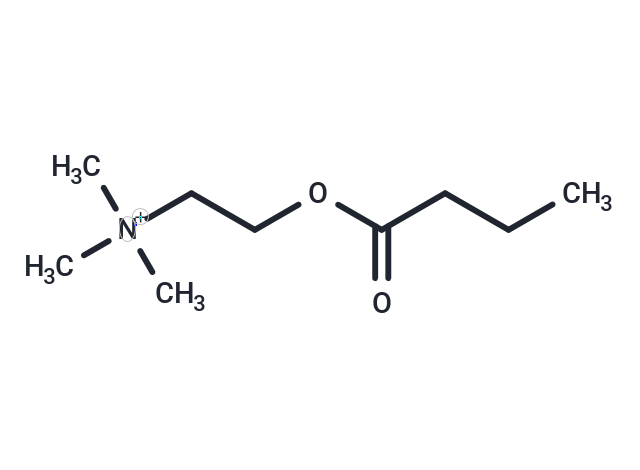 化合物 Butyrylcholine|T30640|TargetMol