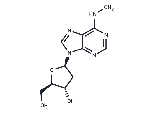 化合物 2’-Deoxy-N6-methyl adenosine|TNU0419|TargetMol