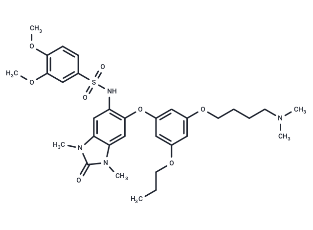 化合物 IACS-9571|T11597|TargetMol