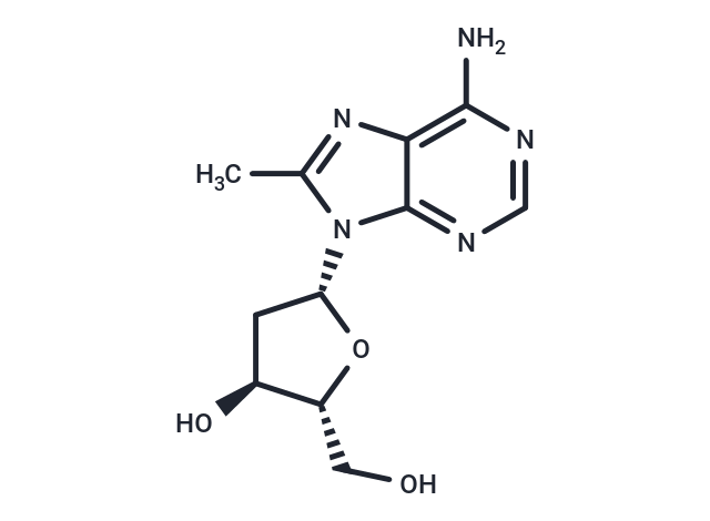 化合物 8-Methyl-2’-deoxyadenosine|TNU1521|TargetMol