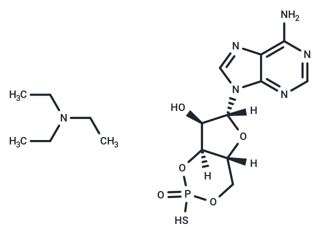 化合物 Rp-cAMPS triethylammonium salt|T12764|TargetMol