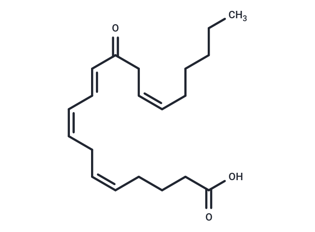 12-OxoETE|T37972|TargetMol