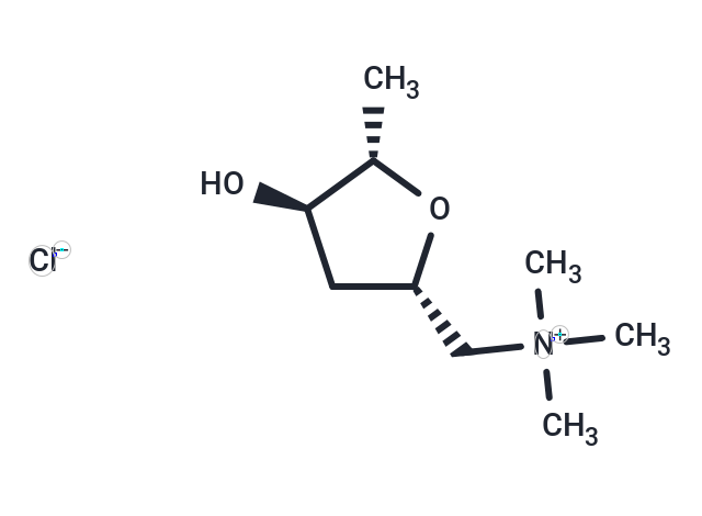 化合物 Muscarine chloride|T24508|TargetMol