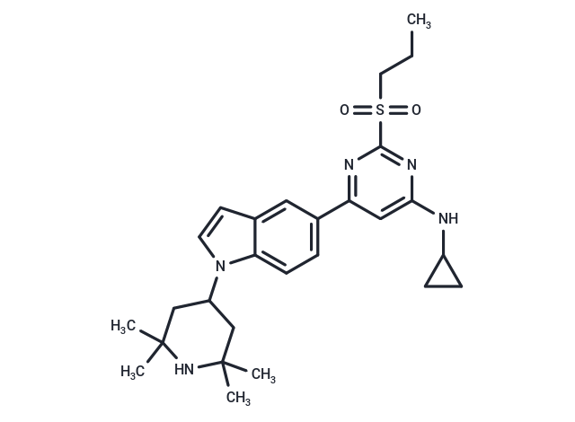 化合物 NVS-CECR2-1|T37151|TargetMol