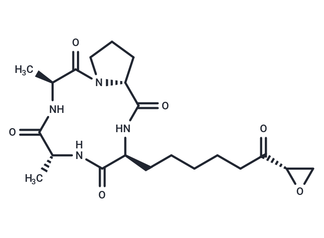 HC Toxin|T35774|TargetMol