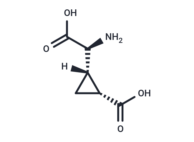 化合物 L-CCG-lll|T22913|TargetMol