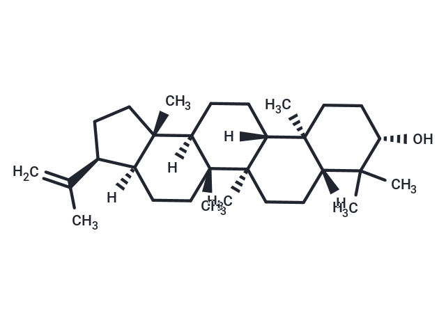 化合物 3β-Hydroxy-hop-22(29)-ene|T72234|TargetMol