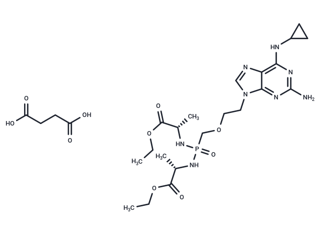 化合物 Rabacfosadine succinate|T24702|TargetMol