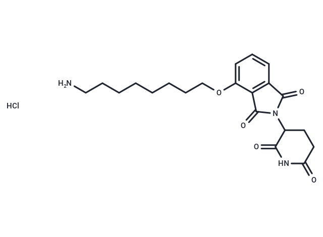 Thalidomide-O-C8-NH2 hydrochloride|T40261|TargetMol