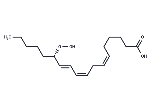 13(S)-HpOTrE(γ)|T37395|TargetMol