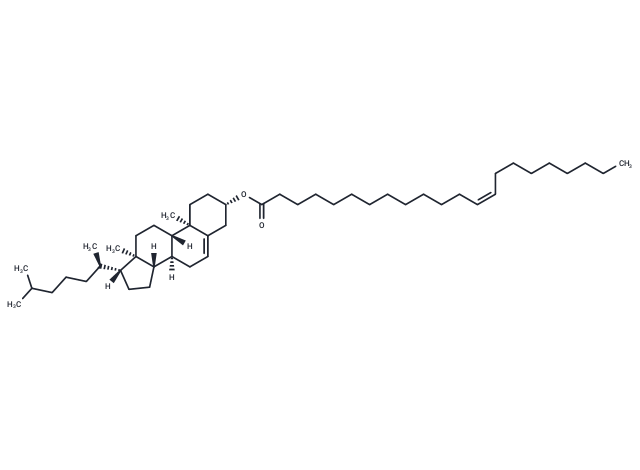 Cholesteryl Erucate|T38057|TargetMol