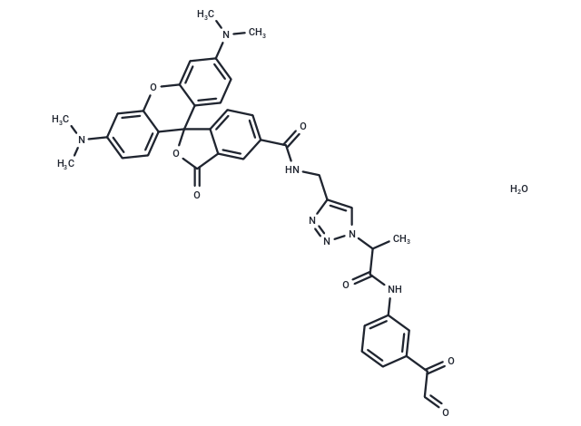 Citrulline-specific Probe-Rhodamine|T36104|TargetMol