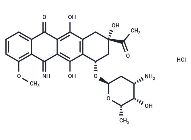 化合物 5-Iminodaunorubicin hydrochloride|T72115|TargetMol