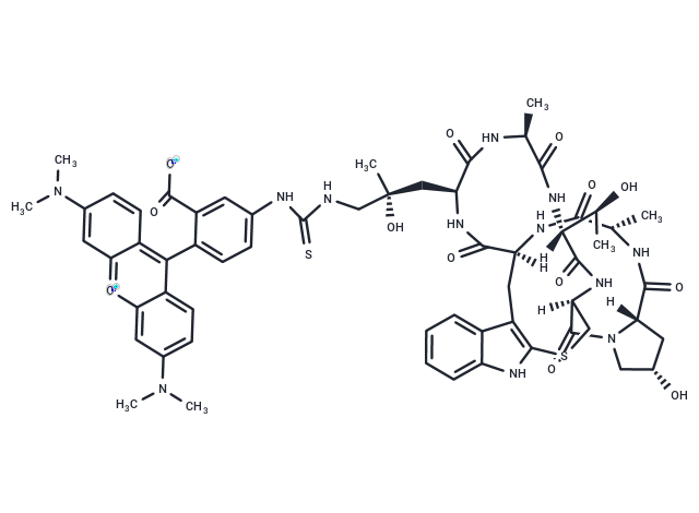 Phalloidin-TRITC|T41056|TargetMol