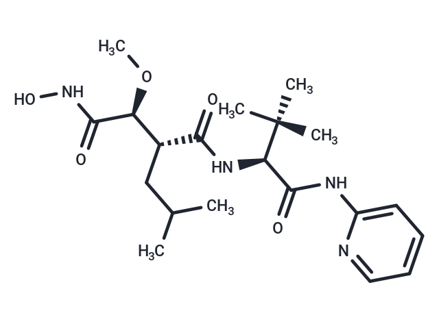 化合物 Solimastat|T69716|TargetMol