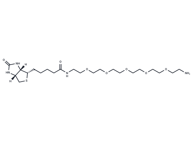 化合物 Biotin-PEG5-amine|T14603|TargetMol