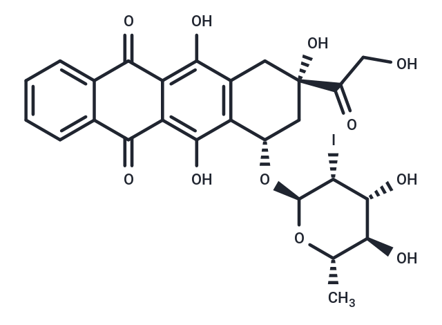 化合物 Annamycin|T68326|TargetMol