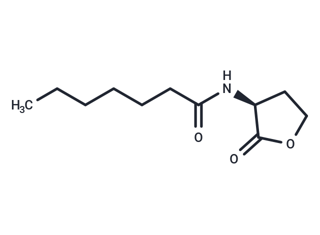 化合物 N-Heptanoyl-L-homoserine lactone|T41282|TargetMol