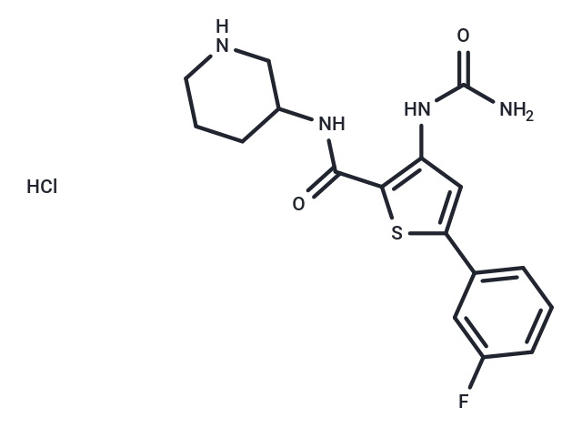 化合物 AZD7762 HCl|T6093L|TargetMol