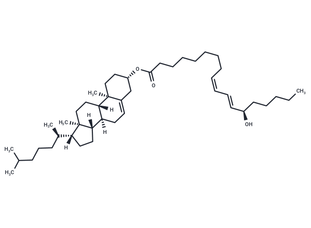 13(R)-HODE cholesteryl ester|T35846|TargetMol