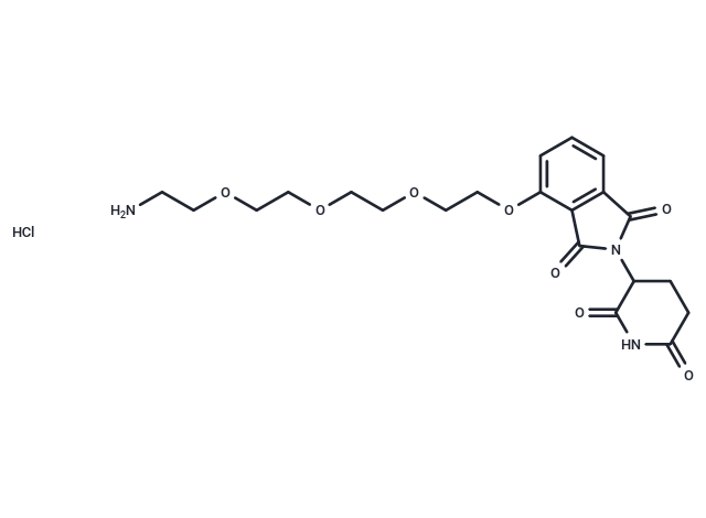 Thalidomide-PEG4-NH2 hydrochloride|T39964|TargetMol