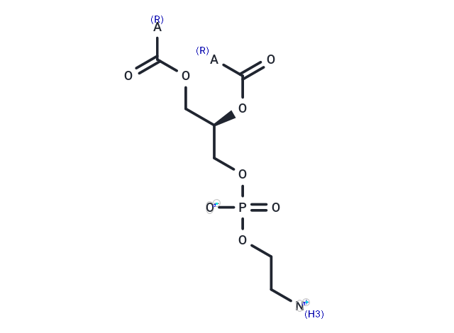 Phosphatidylethanolamines (soy)|T38142|TargetMol