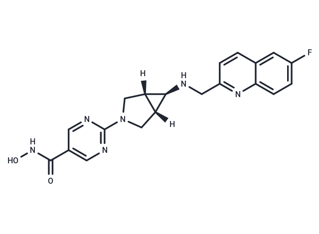 化合物 Nanatinostat|T16270|TargetMol