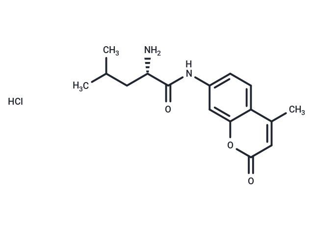 L-Leu-AMC (hydrochloride)|T37062|TargetMol