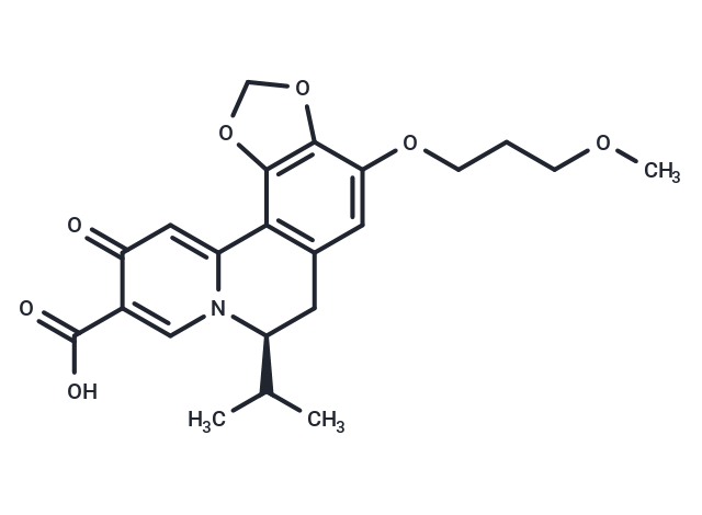 化合物 HBV-IN-13|T62144|TargetMol