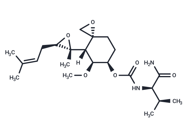 化合物 PPI-2458|T69258|TargetMol