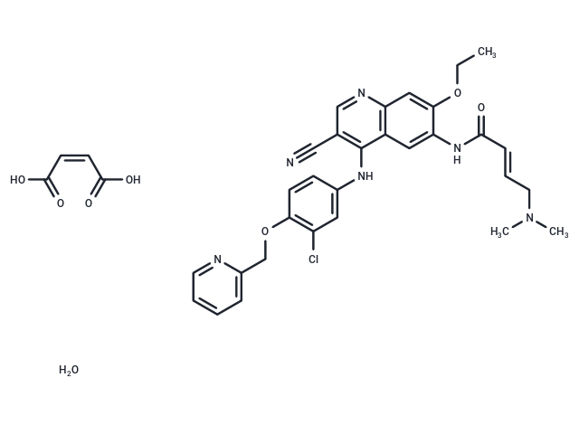 化合物 Neratinib maleate monohydrate|T71387|TargetMol