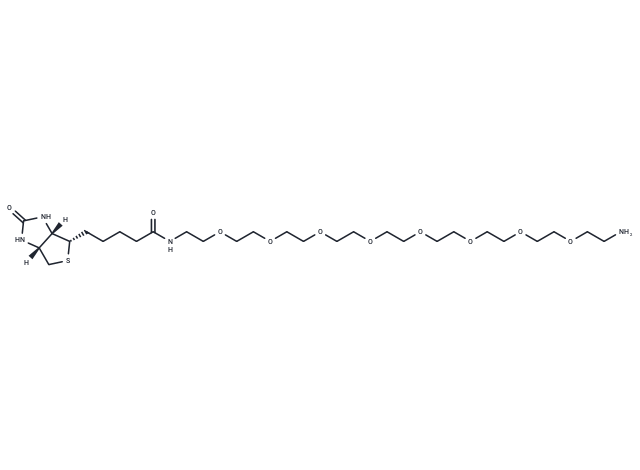 化合物 Biotin-PEG8-amine|T17595|TargetMol