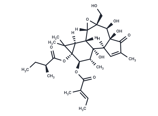 化合物 Tigilanol tiglate|T28975|TargetMol