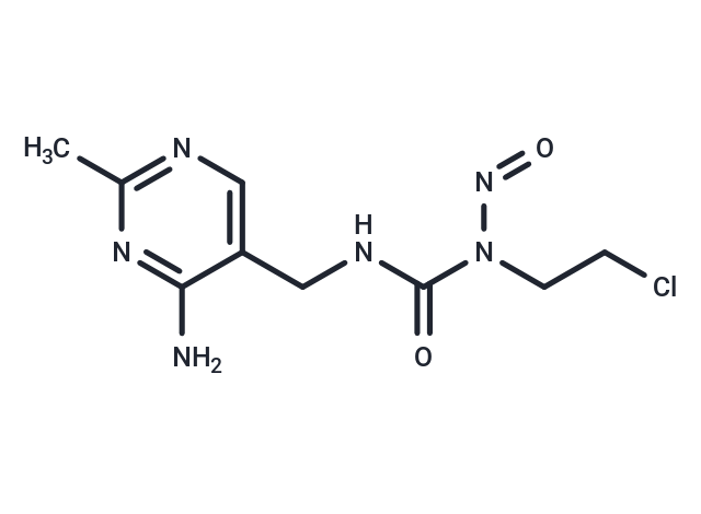 化合物 Nimustine|T21310|TargetMol