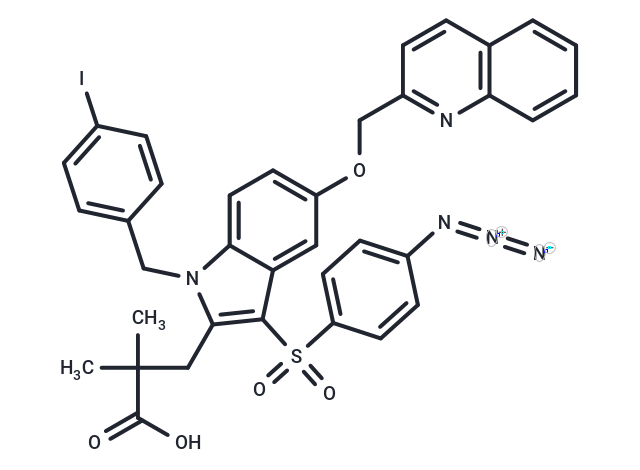 化合物 L 691678|T24340|TargetMol